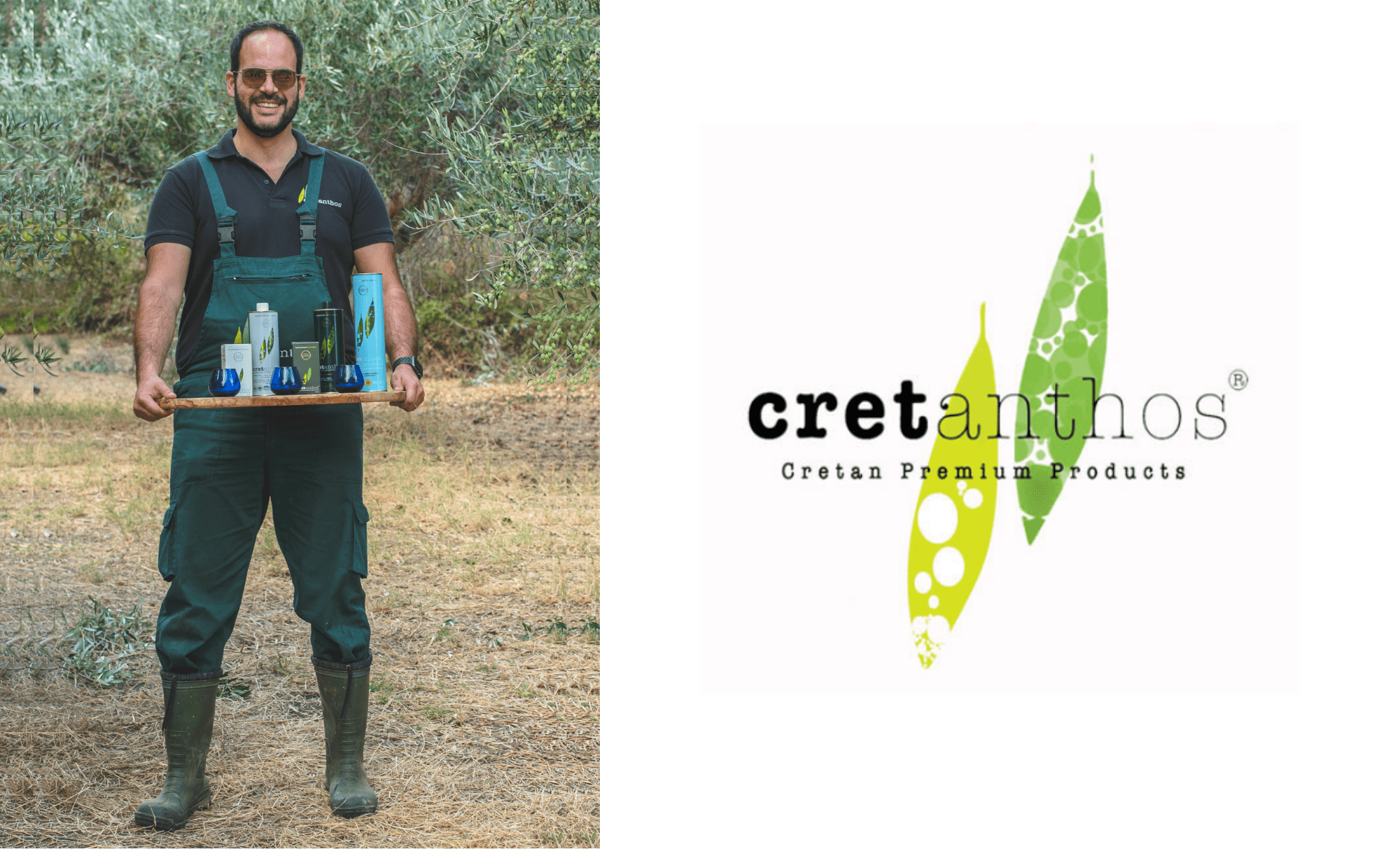 Cretanthos Olijfolie