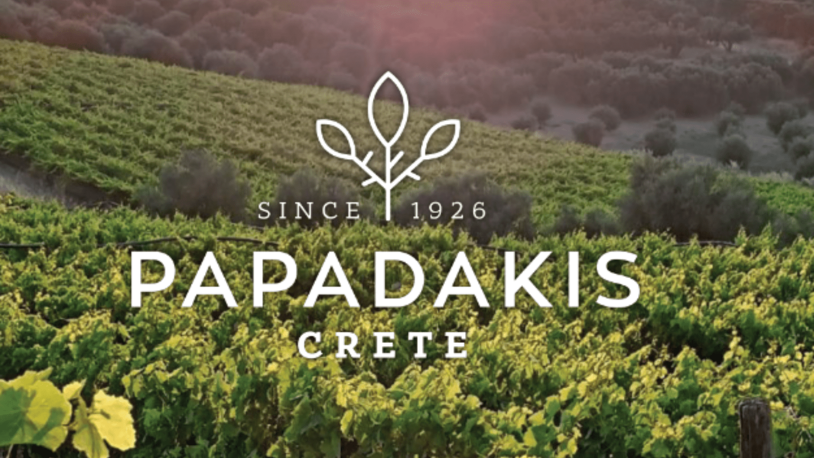 Kreta Balsamico - Delikreta.nl